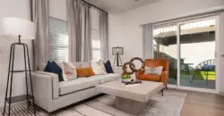 Collection At Gruene