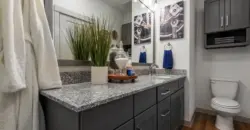 Collection At Gruene