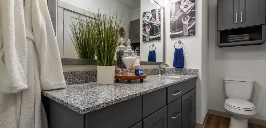 Collection At Gruene