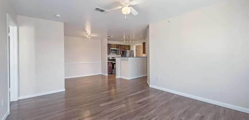 Collective On Riverside