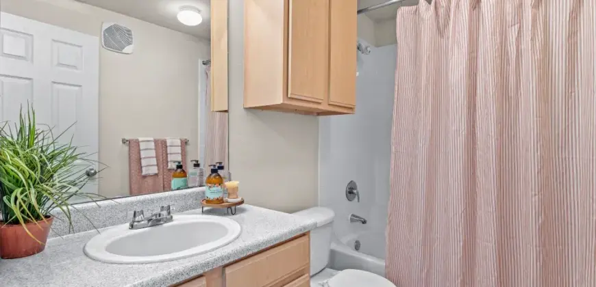 Cypress Creek At Lakeline