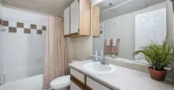 Cypress Creek At River Bend