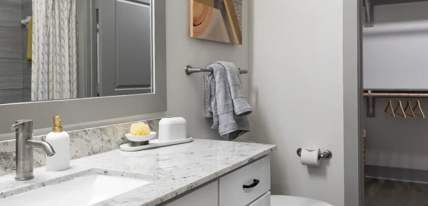 Cypress McKinney Falls