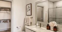 Cypress McKinney Falls