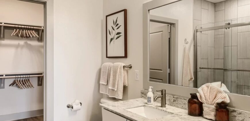 Cypress McKinney Falls