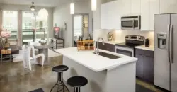 Echo