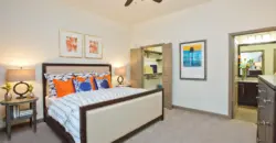 Elevate Spring Crossing