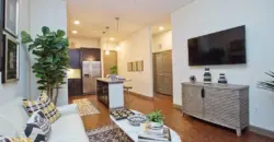 Elevate Spring Crossing