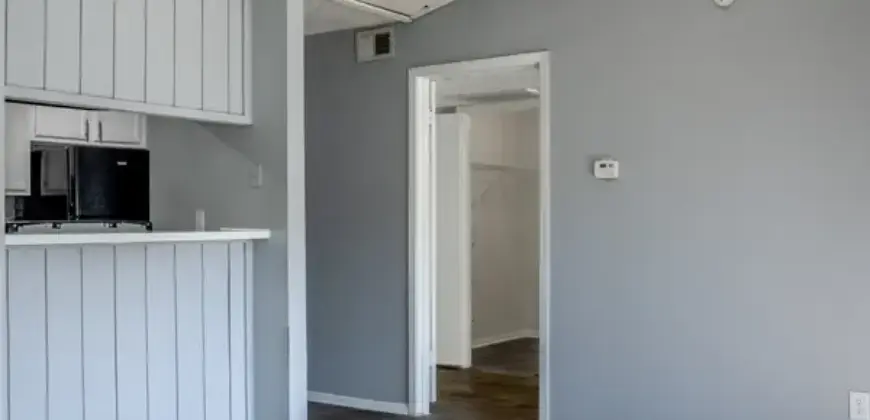 Eleven600