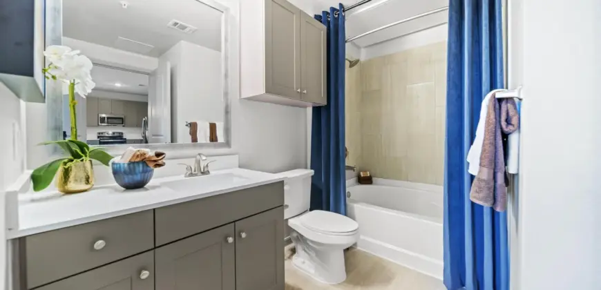 Emerson At Wells Branch