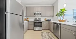 Emerson At Wells Branch