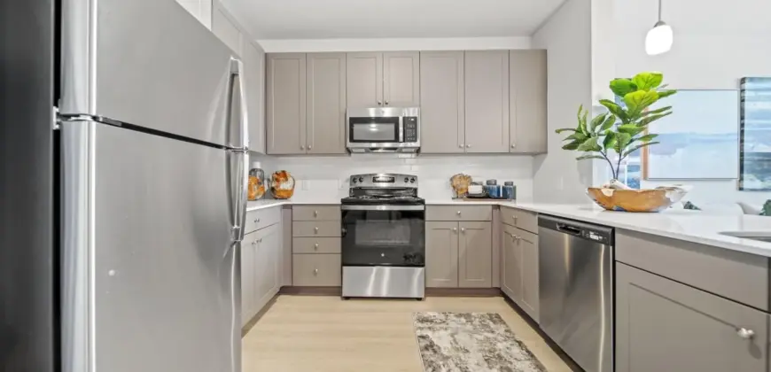 Emerson At Wells Branch