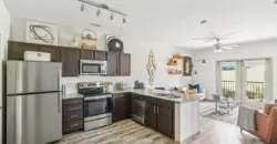 Enclave Falcon Pointe