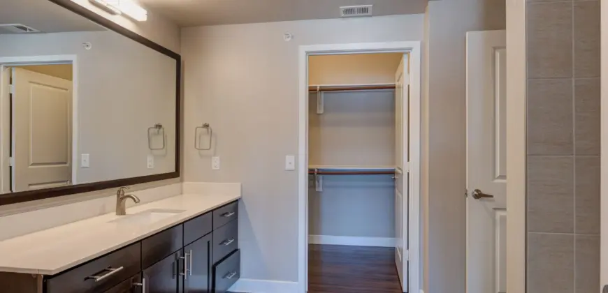 Falcon At Grand Harbor