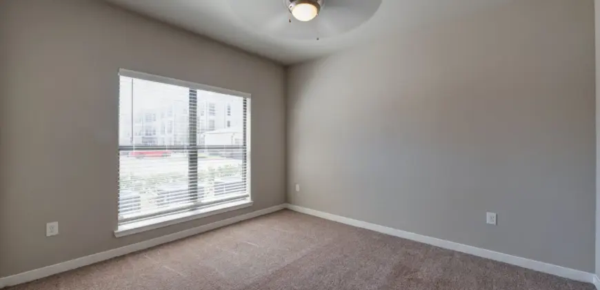 Falcon At Grand Harbor