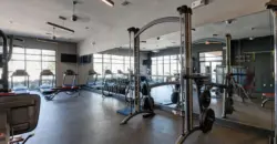 Falcon At Grand Harbor