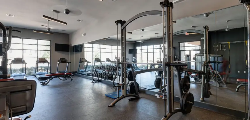 Falcon At Grand Harbor