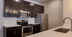 Falcon At Grand Harbor