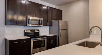 Falcon At Grand Harbor