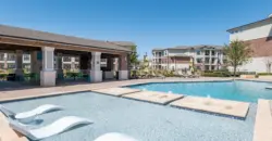 Falcon At Grand Harbor