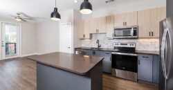 Fifteen15 South Lamar