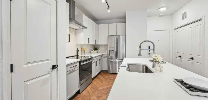 Fitzhugh Urban Flats