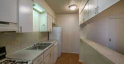 Forest Creek Village