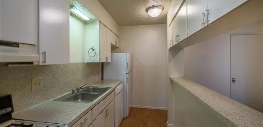 Forest Creek Village