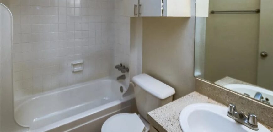 Forest Creek Village