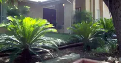 Forest Ridge I