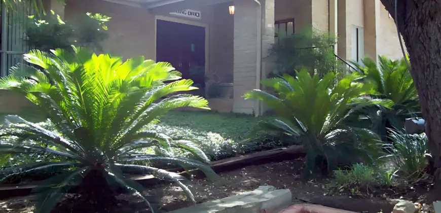 Forest Ridge I