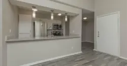 Foundation At Cityline
