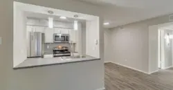 Foundation At Cityline
