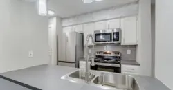 Foundation At Cityline