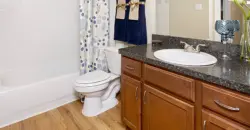 Foundations At Lions Head