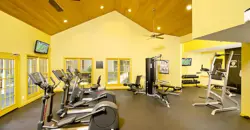 Foundations At Lions Head