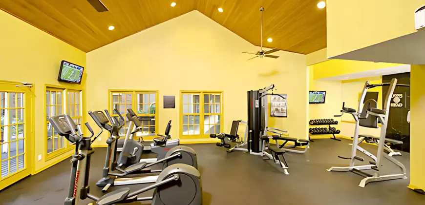 Foundations At Lions Head