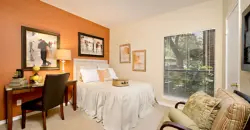 Foundations At Lions Head