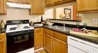 Foundations At Lions Head