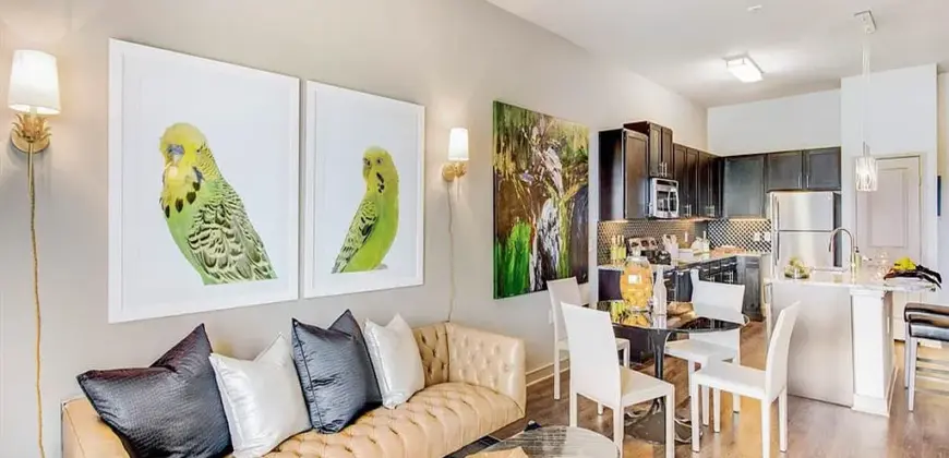 Fountain Pointe Las Colinas