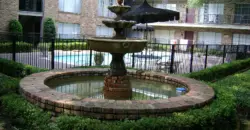 Fountain Spring