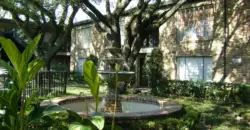 Fountain Spring