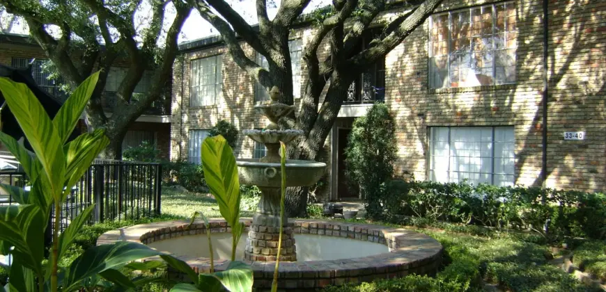 Fountain Spring