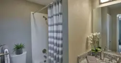 Fountains