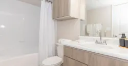 Fountains Of Tomball