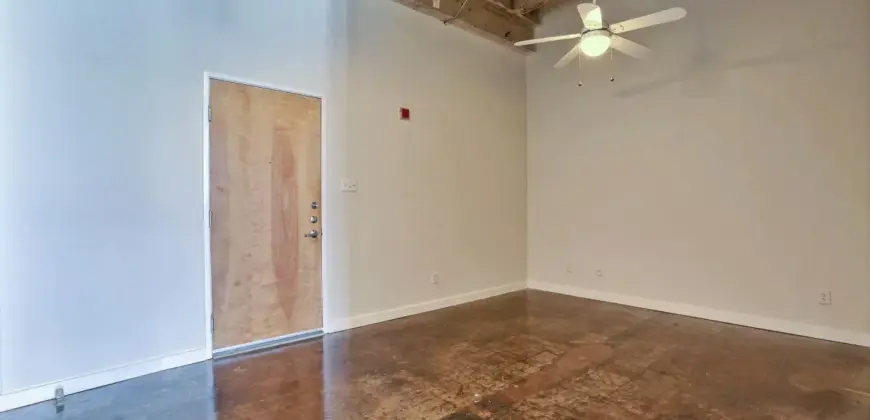 Futura Lofts
