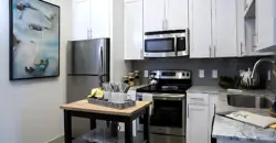 Gallery At Domain-Edge/Parkside