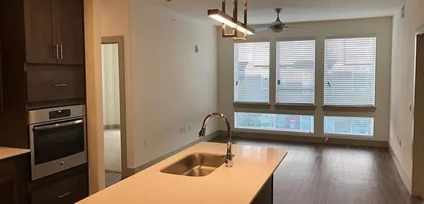 Gallery At Domain-Edge/Parkside