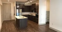 Gallery At Domain-Edge/Parkside