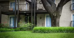 Greystone